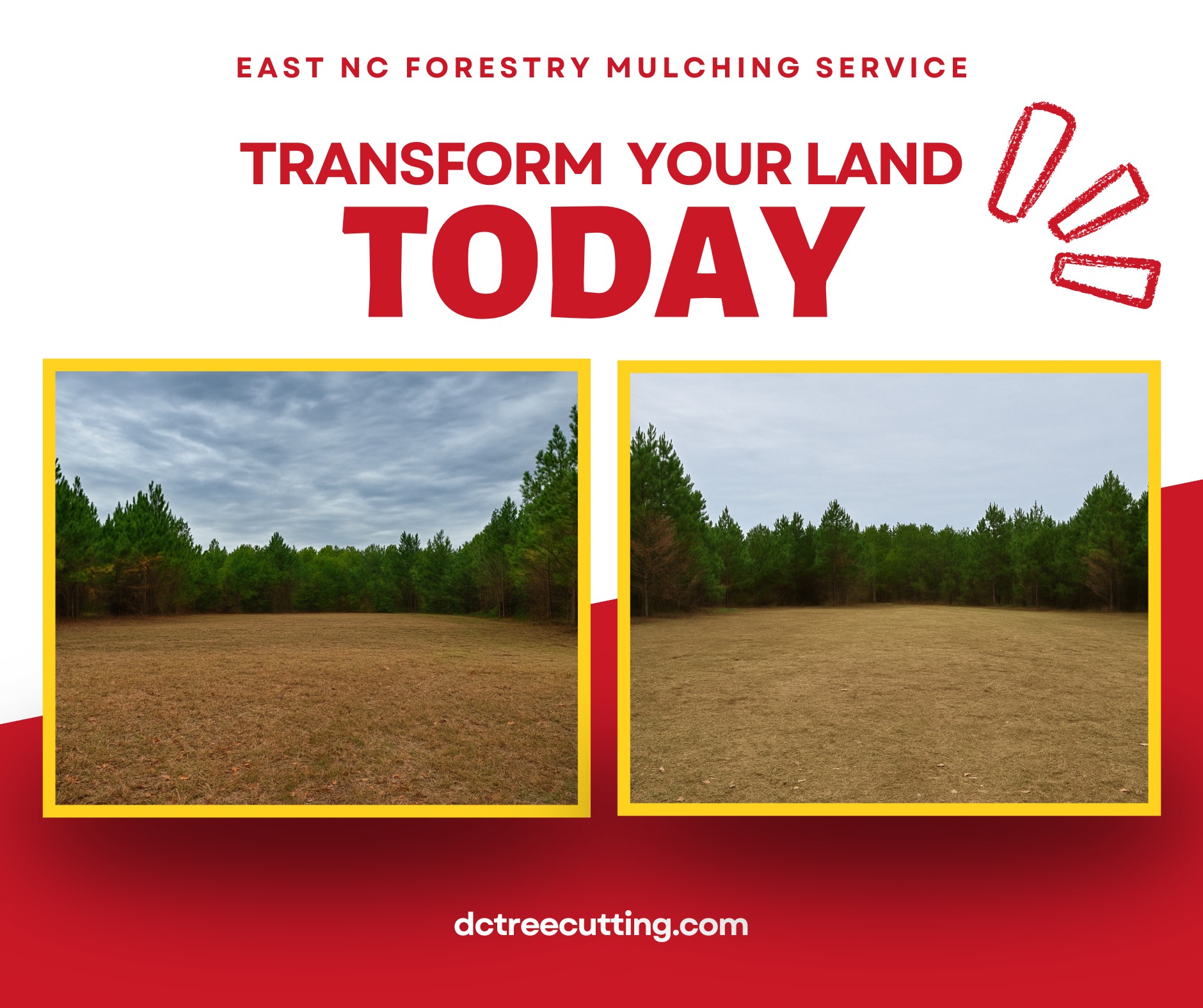 Before and after land clearing transformation